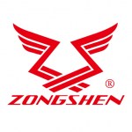 Двигатель бензиновый Zongshen GB 620 E (с катушкой 12В 240Вт)