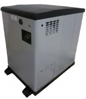 Газовый генератор резервного электроснабжения с воздушным охлаждением в контейнере REG GG12-230SV