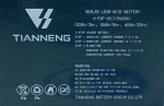 Аккумулятор для тележек WPT15-2 12V/65Ah гелевый (Gel battery)