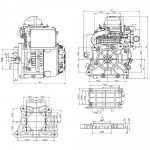 dvigatel-dinking-dk165fp-44-ls-val-tip-s-ruchnoy-starter-datchik-masla_163485_8