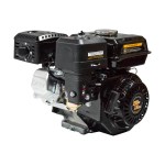 dvigatel-dinking-dk170f-1-cs-75ls-20mm-val-ruchnoy-starter-datchik-masla_163423_3