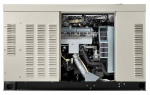 Газовый генератор серии Commercial RG027 21,6 кВА