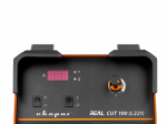 REAL CUT 100 (L221)