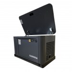 Газовый генератор CTG CG10000SA