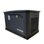 Газовый генератор CTG CG10000SA