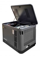 Газовый генератор CTG CU25000SA