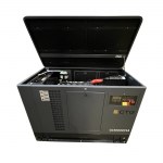 Газовый генератор CTG CU30000ТSA