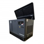 Газовый генератор CTG CU30000ТSA