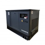 Газовый генератор CTG CU30000ТSA