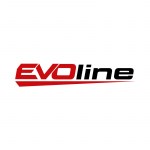 Двигатель бензиновый EVOline 190 FV